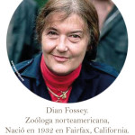Diane-Fossey